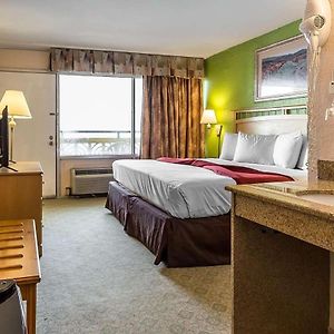 King Room Sea View