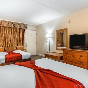 Standard Room Two Double Beds Non-Smoking